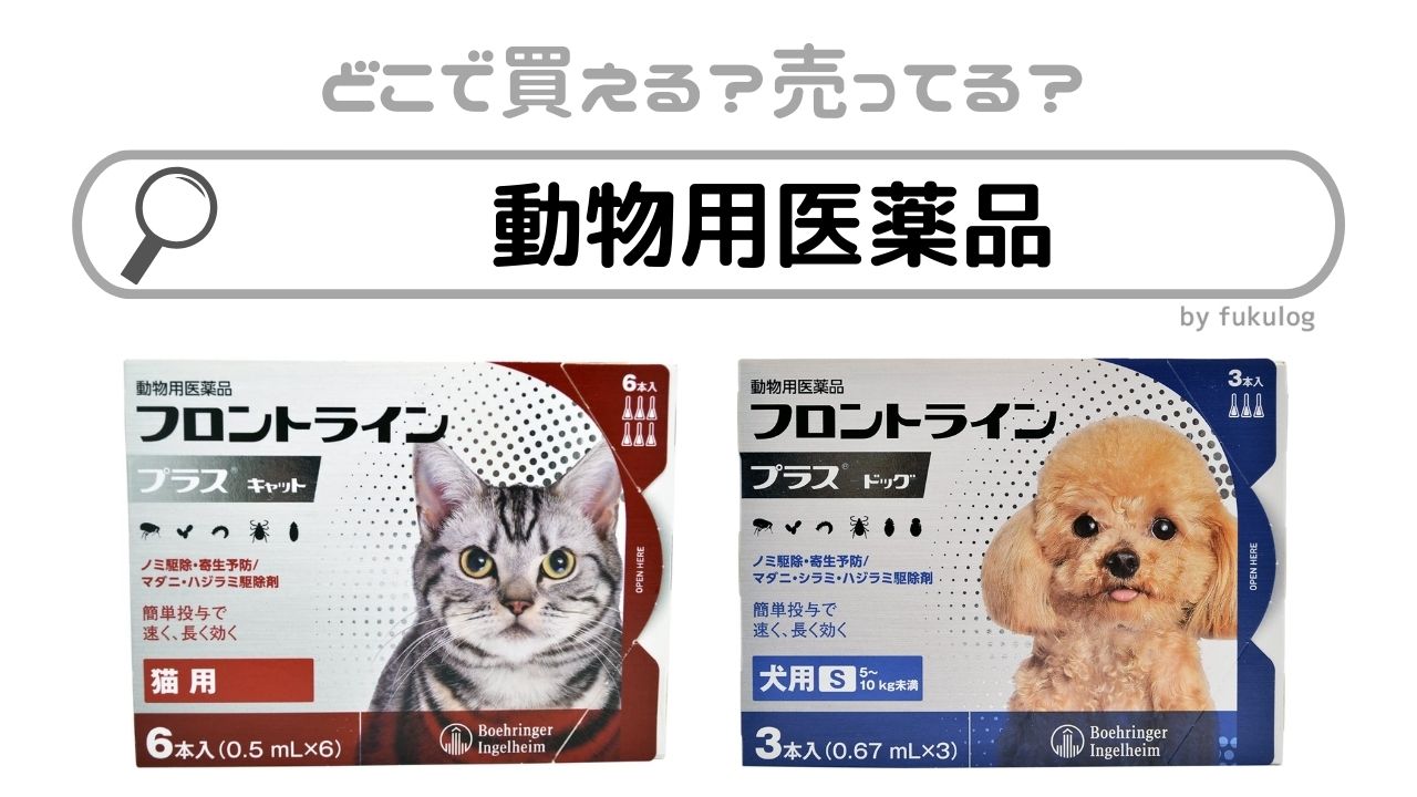 人気商品！】 犬用 ミミィーナ 5ml×3個セット 千寿製薬 犬用耳薬 ミミーナ メール便送料無料