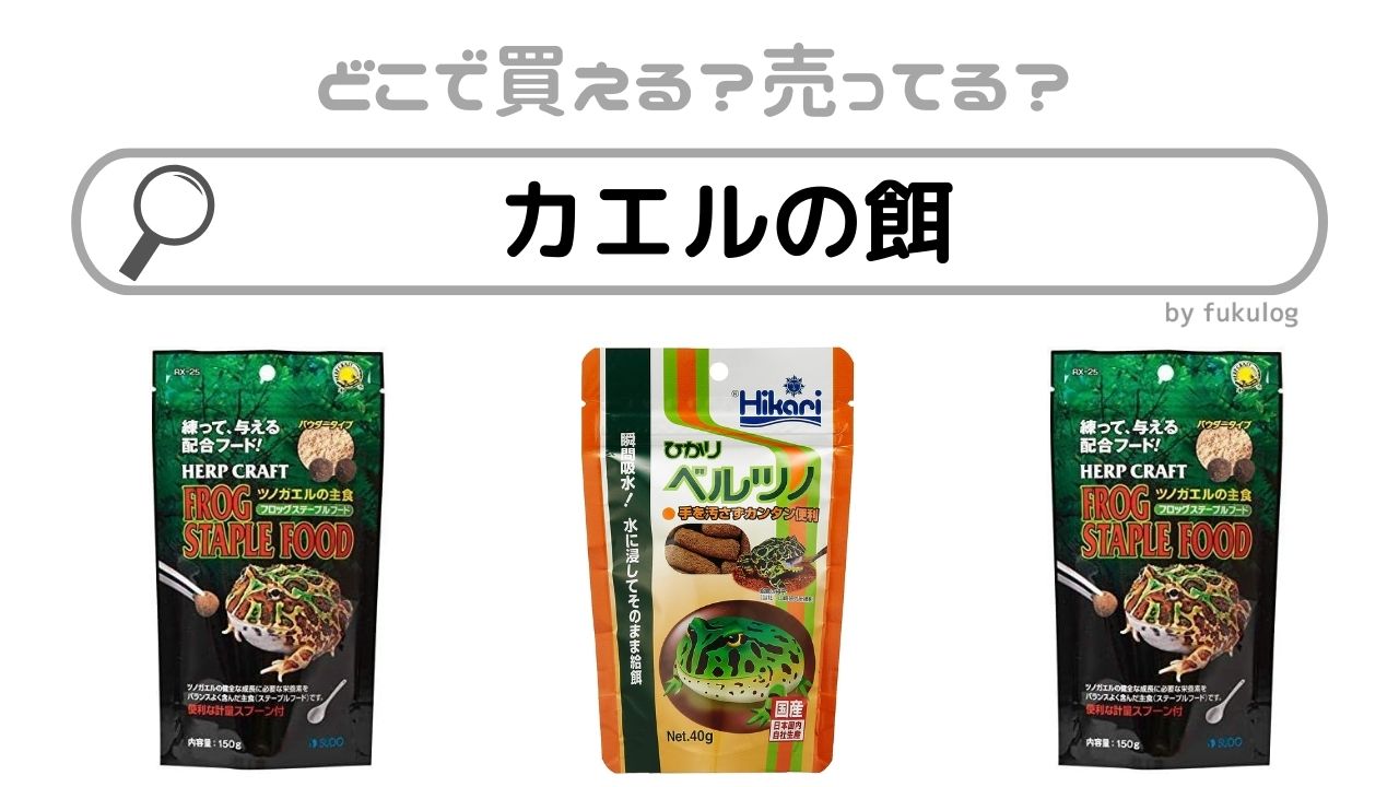 カエルの餌はダイソー・100均で売ってる?どこで買えるの?販売店まとめ