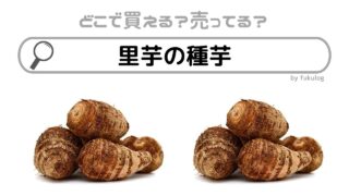 里芋の種芋はホームセンターに売ってる？コメリ？スーパー？販売店まとめ