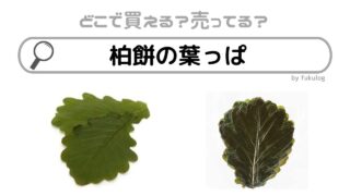 柏餅の葉っぱはどこに売ってる？買える場所は？食べれる？販売店まとめ