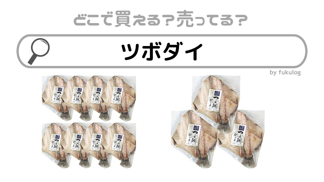 ツボダイは売ってない？欲しい時のための取扱店まとめ