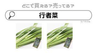 行者菜はどこで買える？スーパー？イオン？販売店はここ！