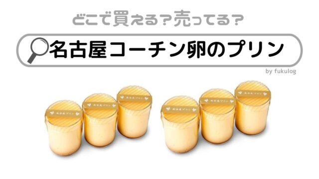 名古屋コーチン卵のプリンはどこで売ってる？スーパー？販売店はここ！