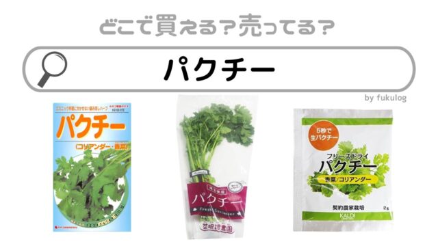 パクチーはどこで買う？スーパーで売ってる？販売店まとめ